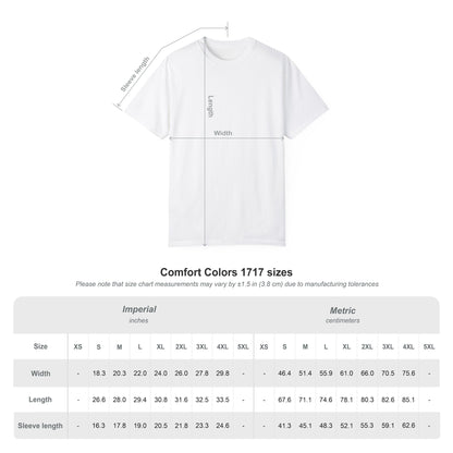 Couples Matching Unisex T-shirts 'Us in Another Lifetime'